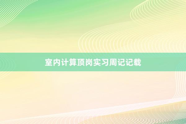 室内计算顶岗实习周记记载