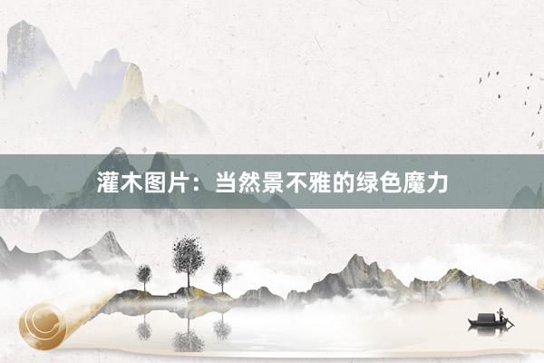 灌木图片：当然景不雅的绿色魔力