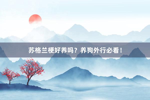 苏格兰梗好养吗？养狗外行必看！